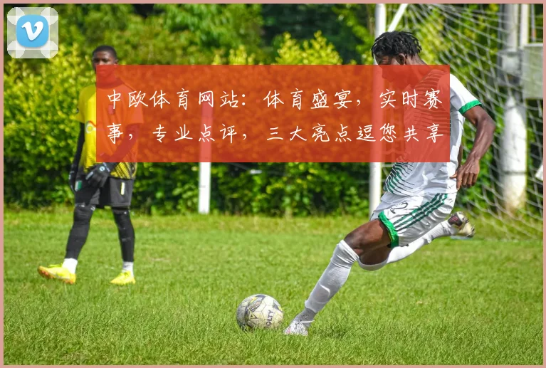 中欧体育网站：体育盛宴，实时赛事，专业点评，三大亮点逗您共享