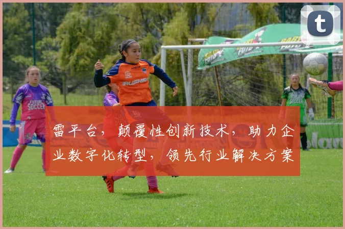 雷平台，颠覆性创新技术，助力企业数字化转型，领先行业解决方案。